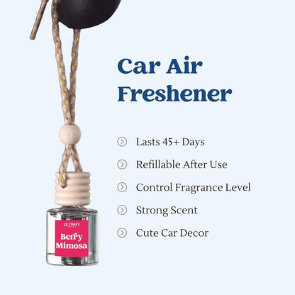 CE Craft Car Air Fresheners