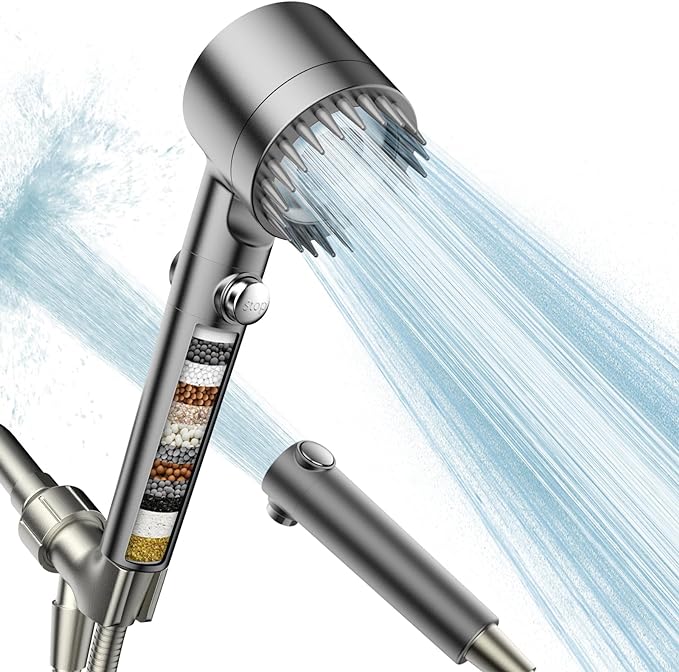 Filtered Shower Head with Handheld