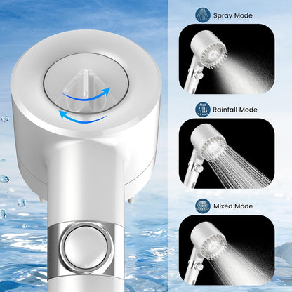 Filtered Shower Head with Handheld