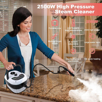 2500W Steam Cleaner