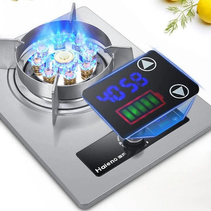 FierceFire Stainless Gas Stove