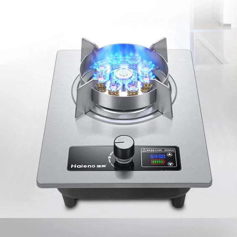 FierceFire Stainless Gas Stove